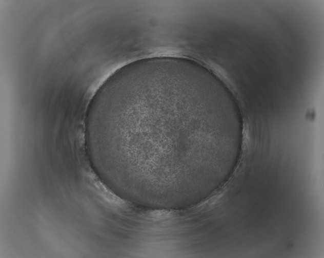 X0000111641212200907311244