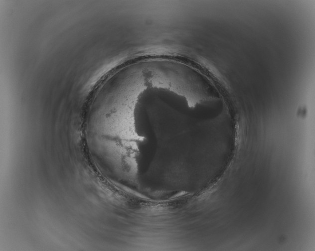 X0000111641213200907311244