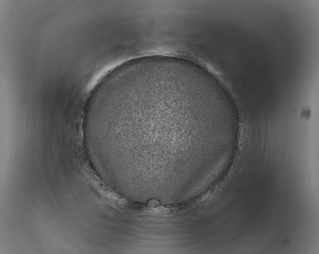 X0000111641214200907311244