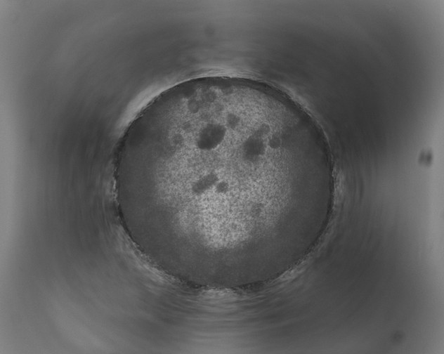 X0000111641215200907311244