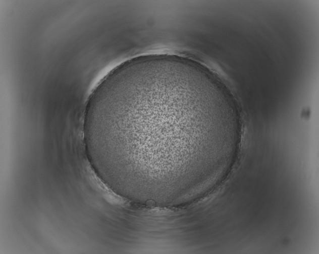 X0000111641216200907311244