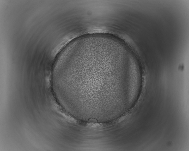 X0000111641217200907311244