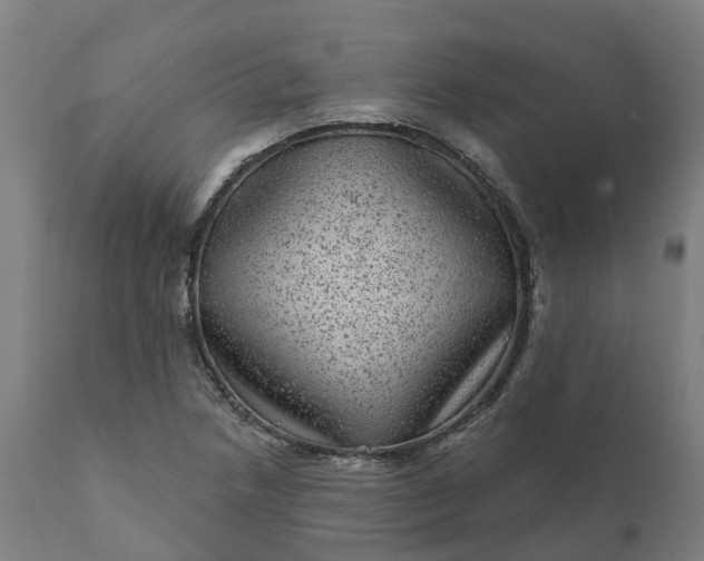 X0000111641218200907311244