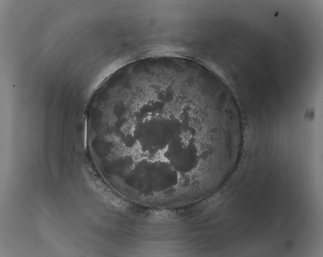 X0000111641219200907311244