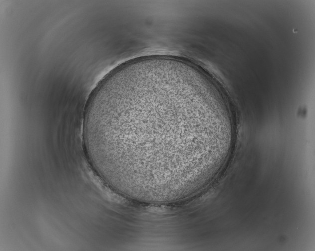 X0000111641220200907311244