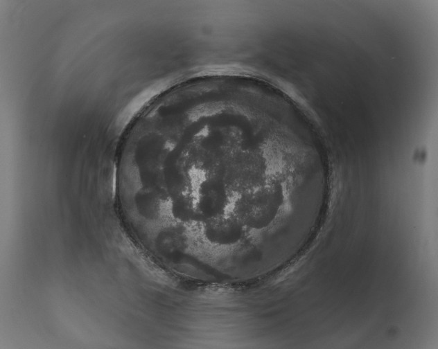 X0000111641221200907311244