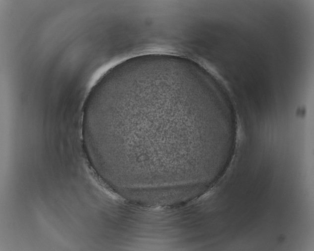 X0000111641222200907311244