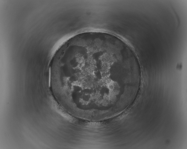 X0000111641223200907311244