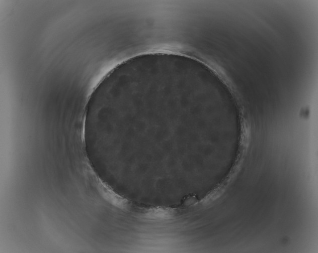 X0000111641224200907311244