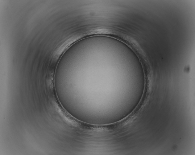 X0000111641225200907311244