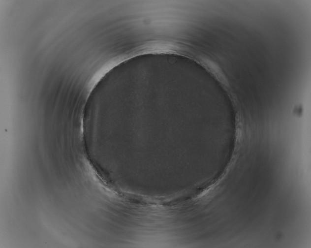 X0000111641226200907311244