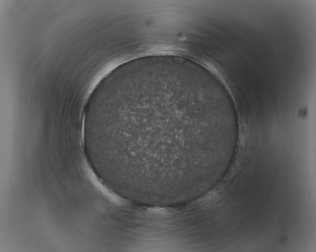 X0000111641227200907311244