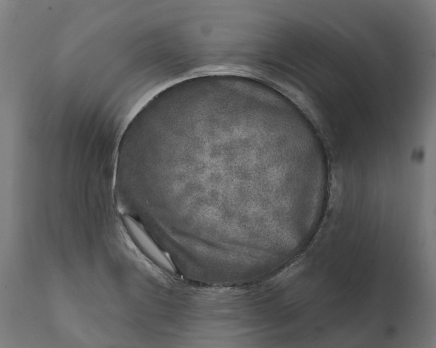 X0000111641228200907311244