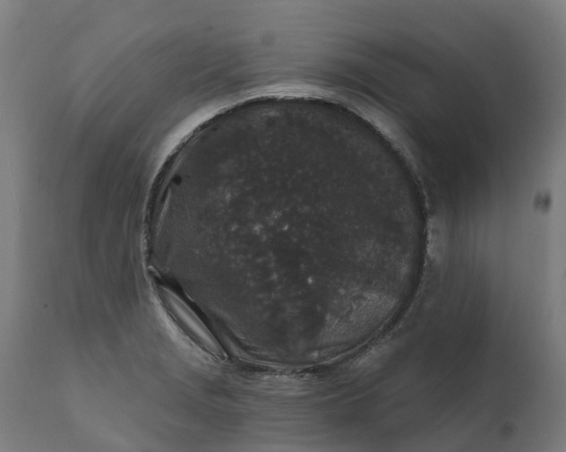 X0000111641229200907311244