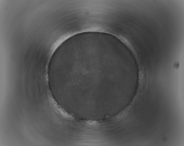 X0000111641230200907311244