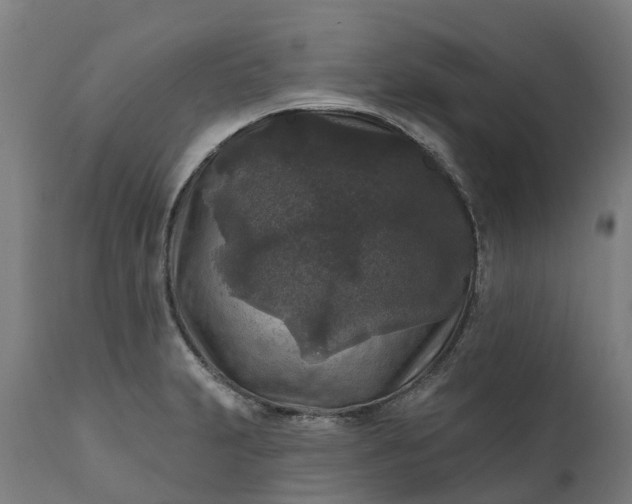 X0000111641231200907311244