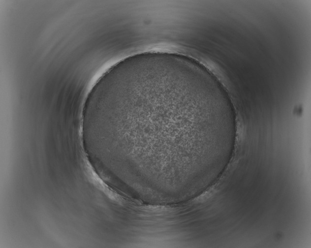 X0000111641232200907311244