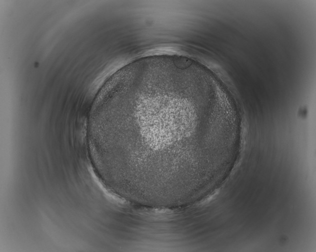 X0000111641233200907311244