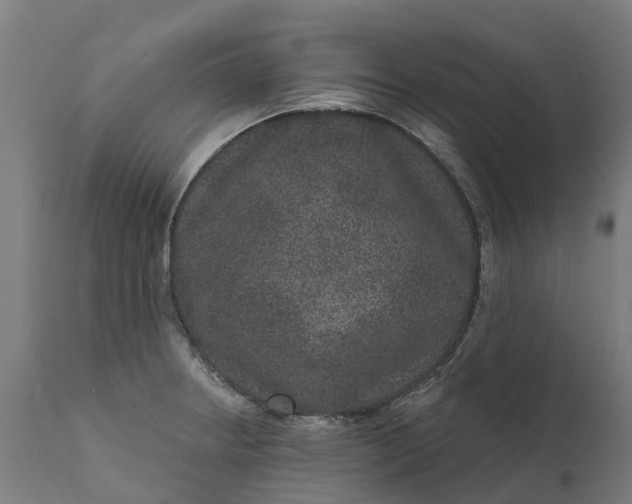 X0000111641234200907311244