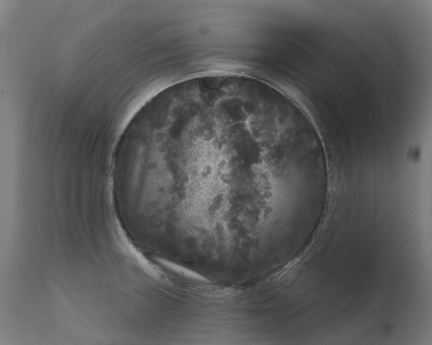 X0000111641235200907311244