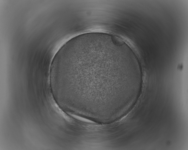 X0000111641236200907311244