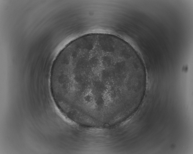 X0000111641237200907311244