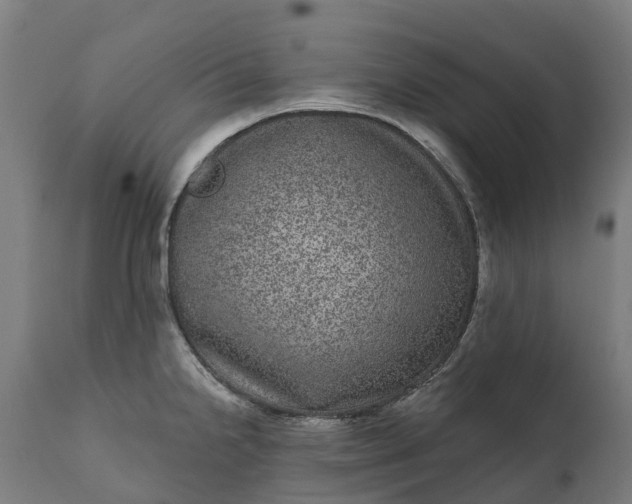 X0000111641238200907311244