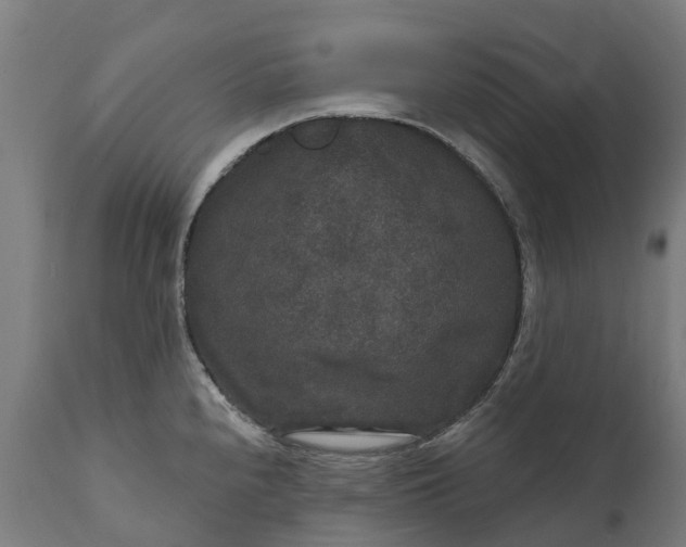 X0000111641240200907311244