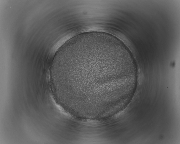 X0000111641241200907311244