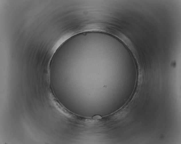 X0000111641242200907311244