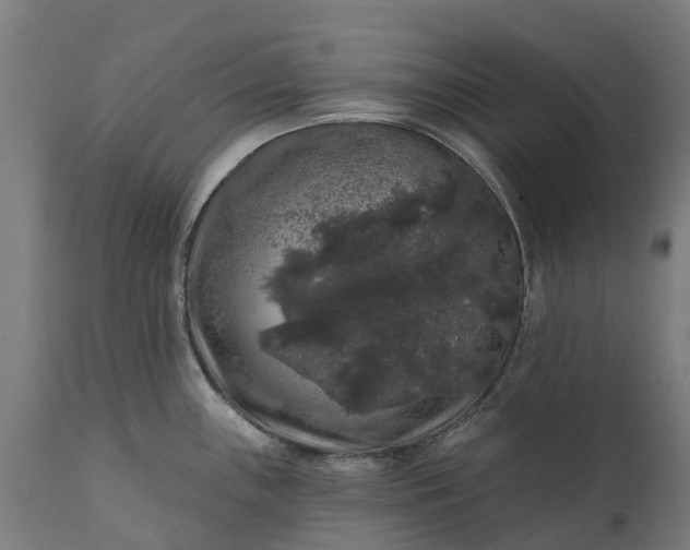 X0000111641243200907311244