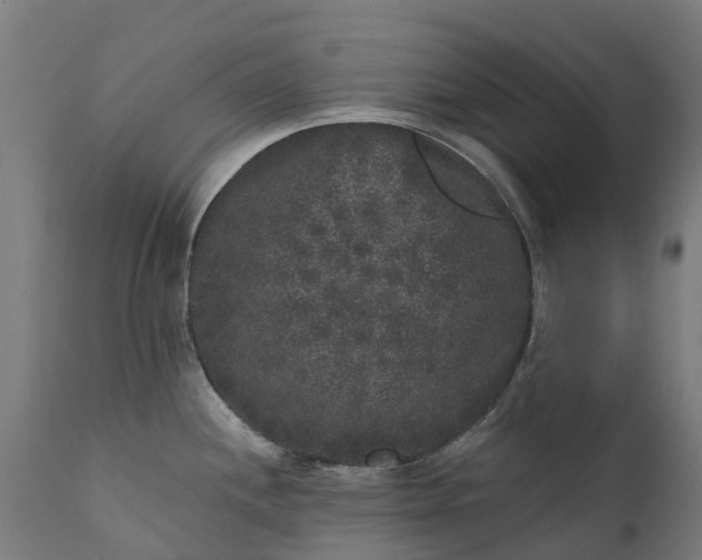 X0000111641244200907311244