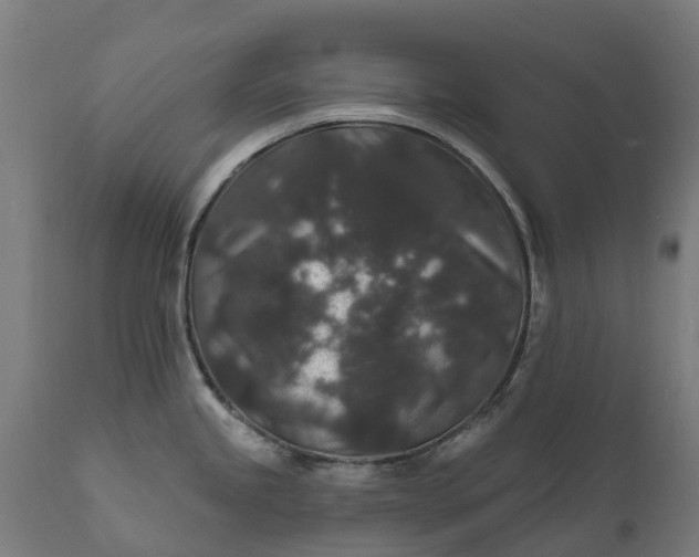 X0000111641245200907311244