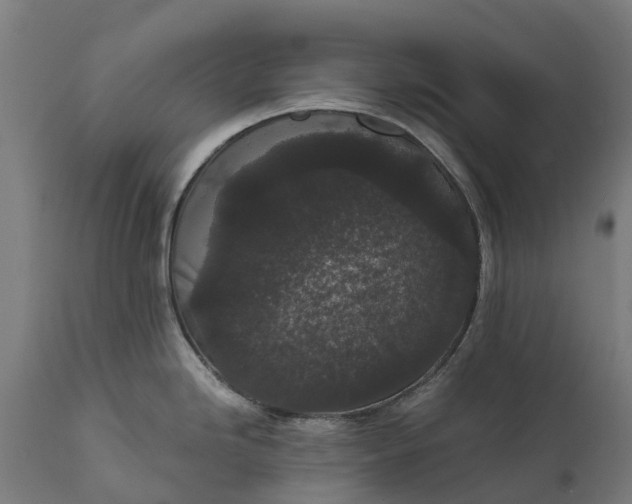 X0000111641246200907311244