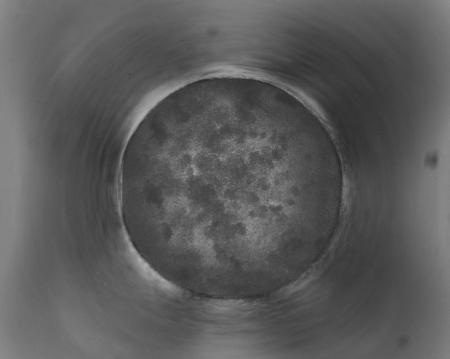 X0000111641247200907311244