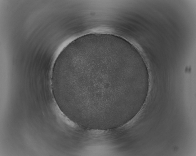 X0000111641248200907311244