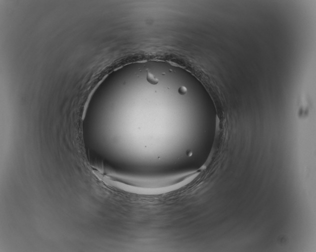 X0000111641249200907311244