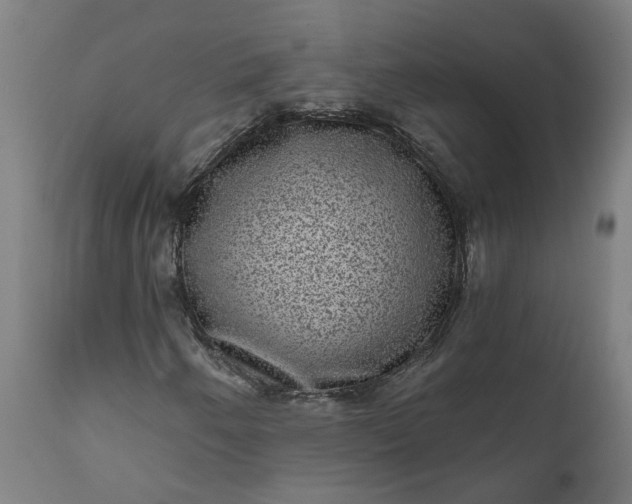 X0000111641250200907311244