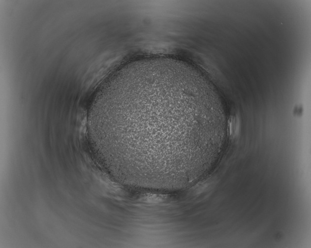 X0000111641251200907311244