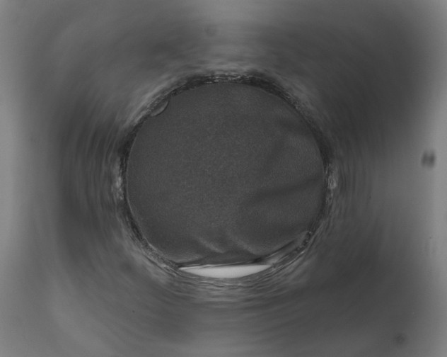 X0000111641252200907311244