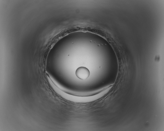 X0000111641253200907311244