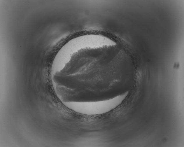 X0000111641254200907311244