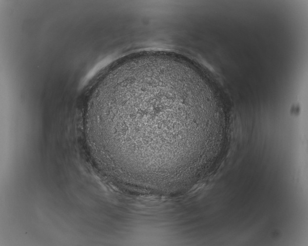 X0000111641255200907311244