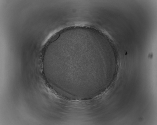 X0000111641256200907311244