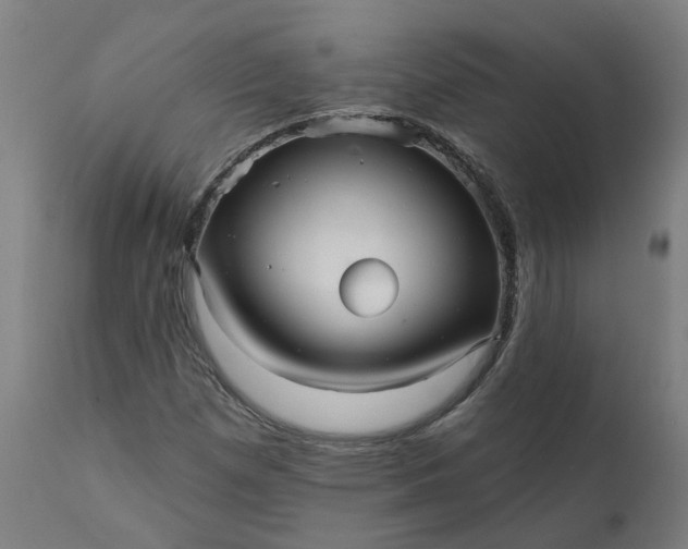 X0000111641257200907311243