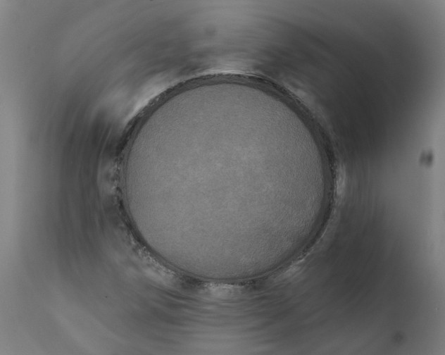 X0000111641258200907311243