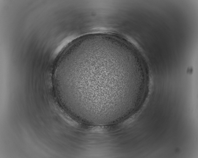 X0000111641259200907311243