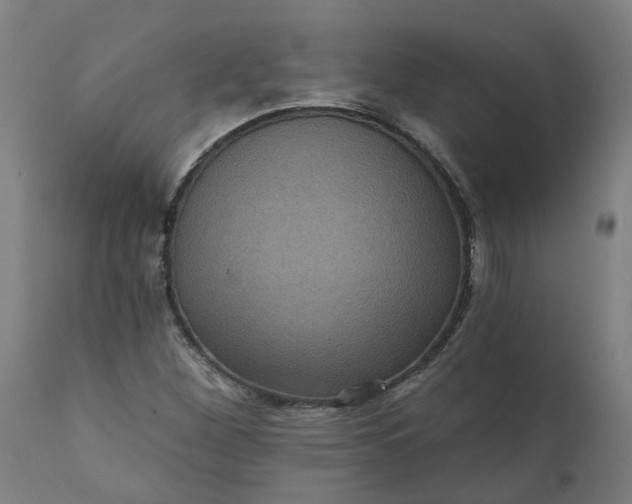 X0000111641260200907311243