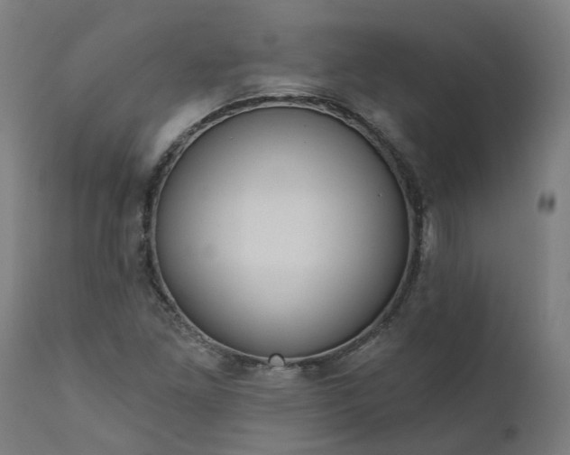 X0000111641261200907311243