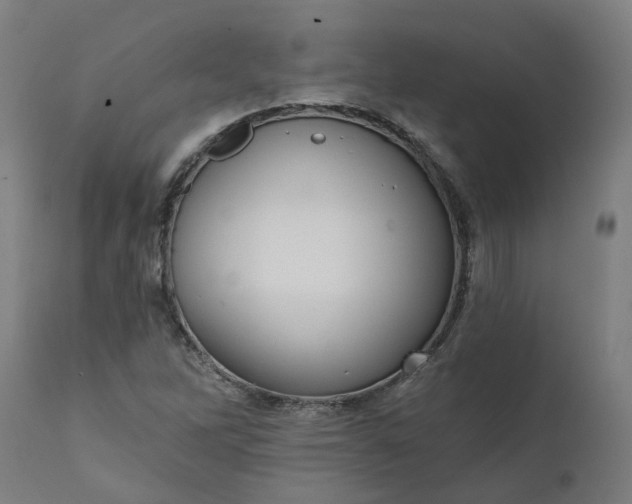 X0000111641262200907311243